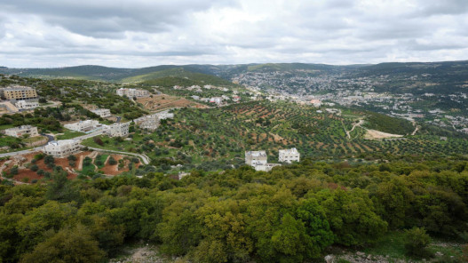  بركة شين في رأس منيف إرث طبيعي وأثري يستحق الحماية 