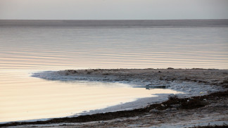 وزارة البيئة: الوضع البيئي في البحر الميت خطير ونسبة الملوحة فيه 34%