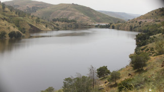 نسبة التخزين الحالية للسدود تقارب الربع