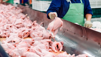 نقيب أصحاب المطاعم يطالب بتشديد الرقابة على مزودي الدجاج